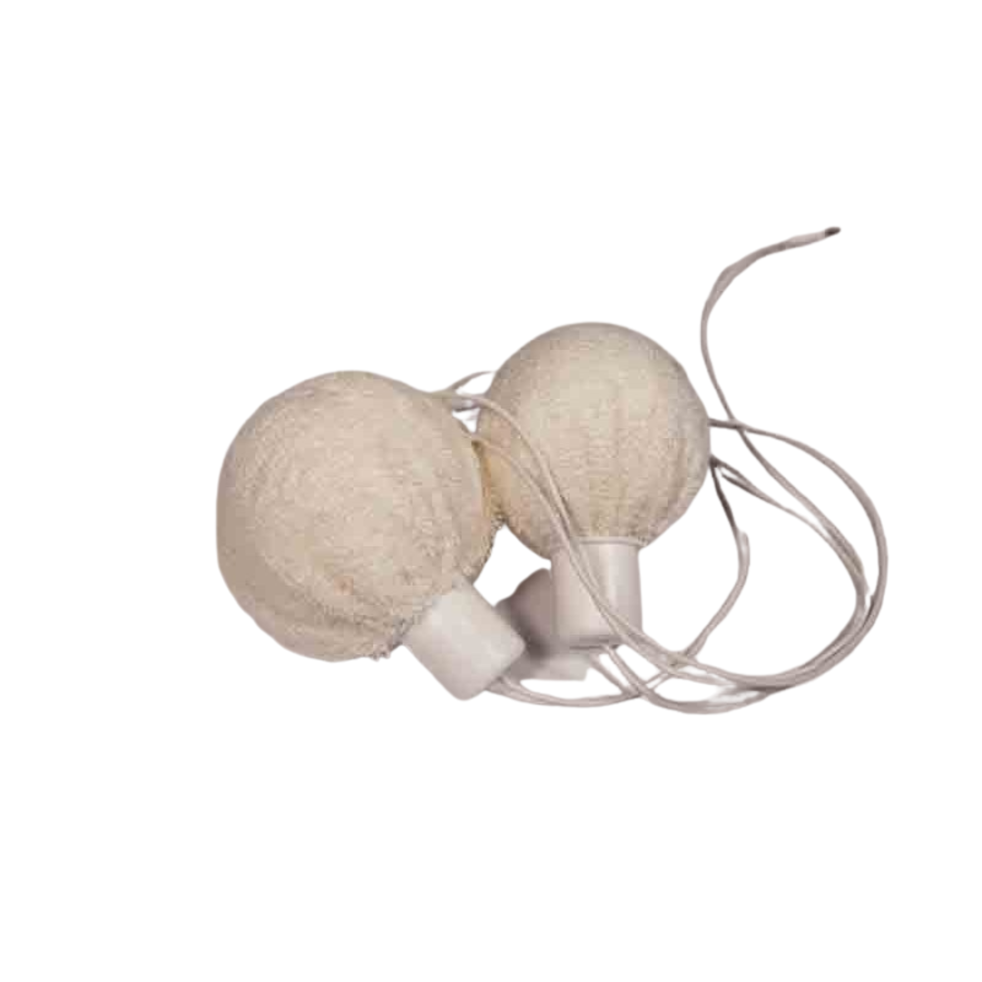 Kit Électrodes Axilla compatible avec les appareils d'ionophorèse I2m.A - I2M Laboratoires